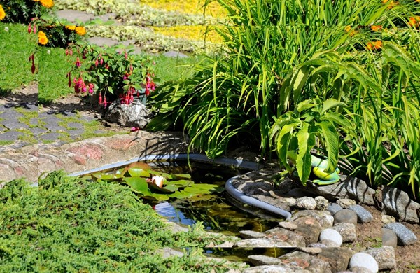 Met deze 5 tips maak je je tuin ecofriendly Met deze 5 tips maak je je tuin ecofriendly